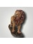 Polyester Aslan Biblo 2