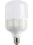 CT-4242 40W LED Ampul 1