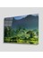 Yeşil Manzara Cam Tablo 4mm Dayanıklı Temperli Cam 1